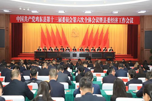 共襄盛会绸缪远 同济航船破浪行丨县委十三届六次全会暨县委经济工作会议侧记