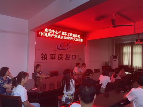 镇平县疾控中心组织全体党员干部职工收看庆祝中国共产党成立100周年大会直播盛况