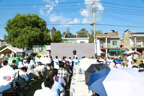 秋 歙 浪漫 遇 稻 甜蜜