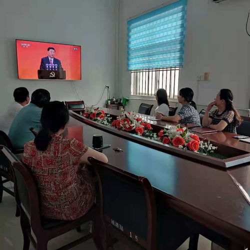 镇平县委统战部组织观看全国庆祝中国共产党成立100周年 七一勋章 颁授仪式