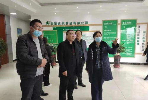 镇平县委副书记 县长黄静调研督导食品安全工作