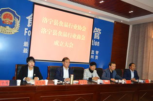 洛宁县委统战部 县工商联召开洛宁县食品行业商会成立大会