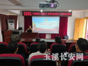 中共澄江县委党校 开展 扫黑除恶弘扬正气 我是党员我带头 主题党日活动