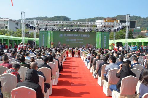 陆河县举办首届农产品展销会 元月初来 打年货