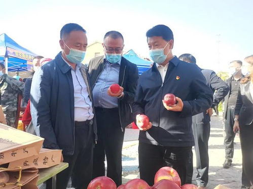 特克斯县委书记李伟等一行参观农民丰收节特色产品展销