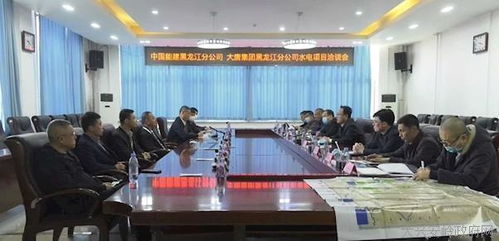 呼玛县委书记孙金峰主持召开与中国能建黑龙江分公司 大唐集团黑龙江分公司水电项目洽谈会