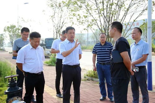 县领导实地调研项目进展情况,督促项目稳步推进