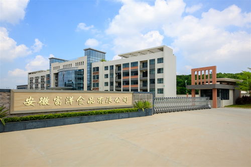 高端婴童零辅食品牌 宅羊羊 全国范围内诚招经销代理商