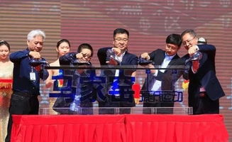 临洮县委书记石琳亲自为临洮百合等农特产品代言,为农民发声