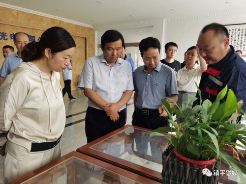 镇平县委书记艾进德深入重点项目现场办公