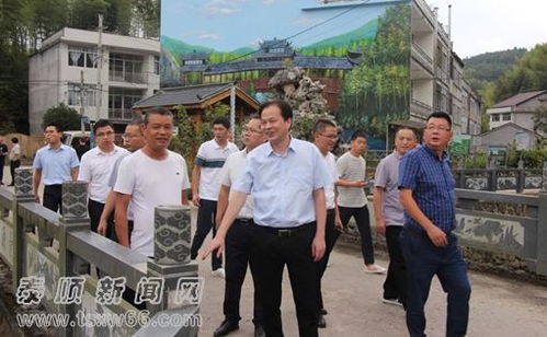 泰顺县委书记陈永光督查 最美乡愁村 建设 打造精品 合力推进乡村精彩蝶变