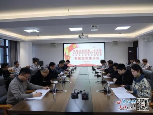 景德镇市城投集团各党支部召开组织生活会 图